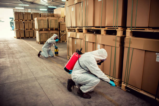 Best Cockroach Control Services  in Cole Camp, MO