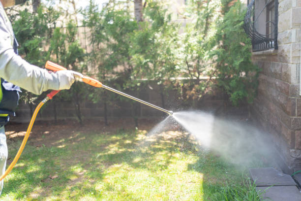 Best Wildlife Control Services  in Cole Camp, MO