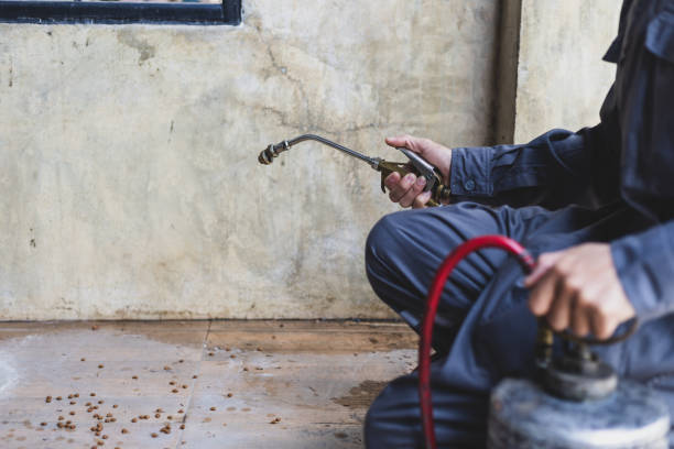 Best Local Pest Control Services  in Cole Camp, MO